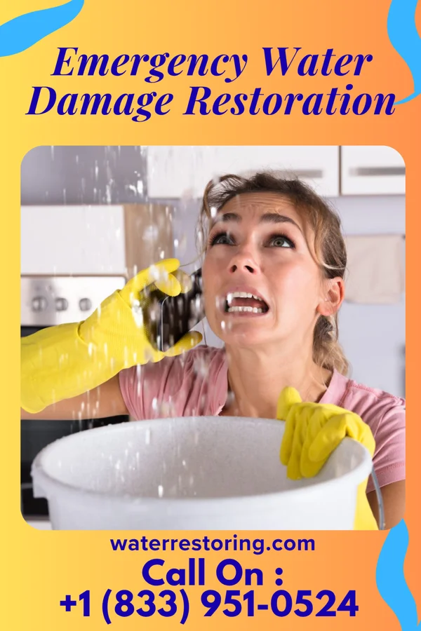 Emergency Water Damage Restoration in Tuscola, IL