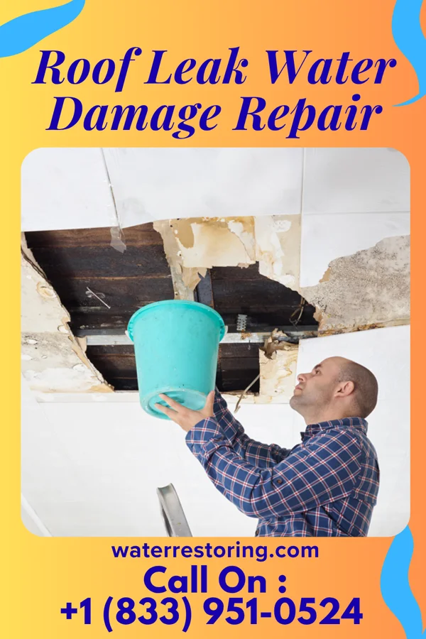 Roof Leak Water Damage Repair in Tuscola, IL