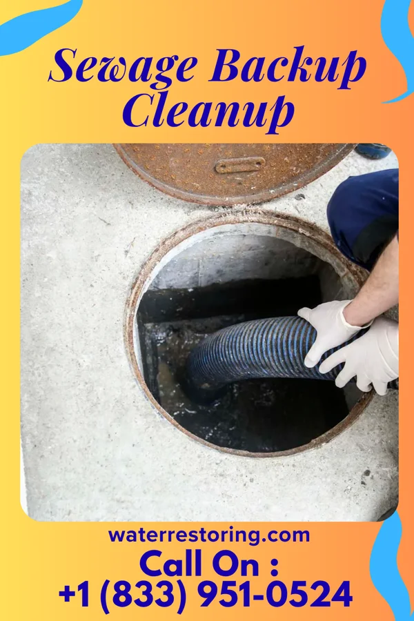 Sewage Backup Cleanup in Tuscola, IL